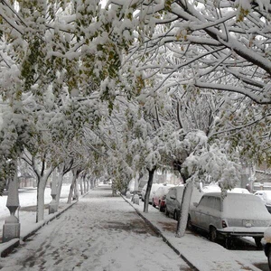 بالصور : مدينة حمص تكسوها الثلوج !  