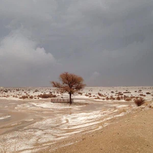 بالصور : أمطار غزيرة و بَرَد في اجزاء مختلفة من المملكة الخميس 