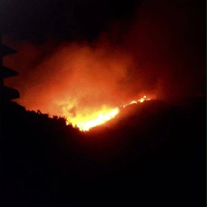 Photos: Plusieurs incendies se sont déclarés aujourd&#39;hui dans la campagne ouest de Homs et dans certaines parties de la campagne de Tartous