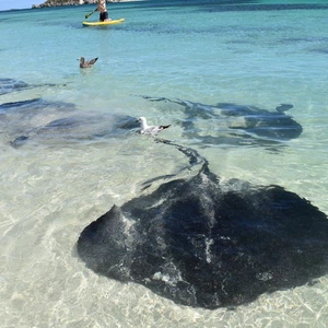 24 photos des chefs-d&#39;œuvre du tourisme en Australie