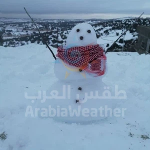 بالصور || هكذا عبر بعض الاشخاص عن فرحتهم بالثلوج بصنع رجل الثلج (Snowman) 