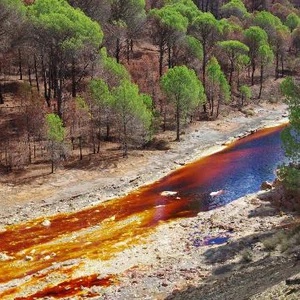 بالصور : تعرّف على النهر الأحمر .. واحد من أغرب الأنهار !