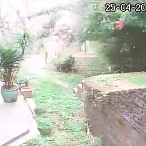 مشهد لاهتزاز الأرض والأشجار لحظة زلزال نيبال