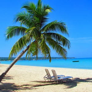 Lieux touristiques en Jamaïque .. les énormes trésors naturels