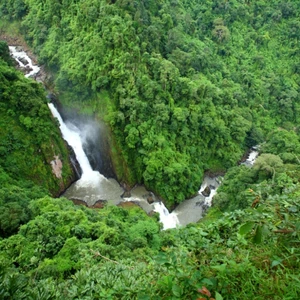 This is Khao Yai National Park, the most famous in Thailand