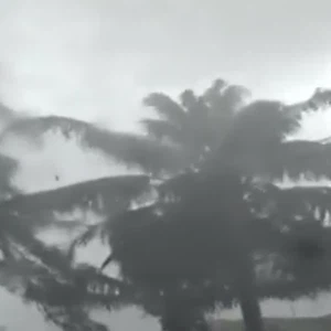 شاهد: لحظة وصول الإعصار ساريكا لمناطق جنوب الصين 