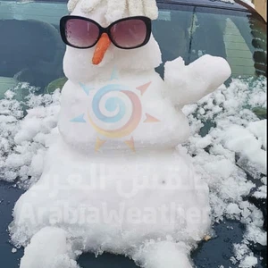 Pictures || This is how some people expressed their joy in snow making Snowman