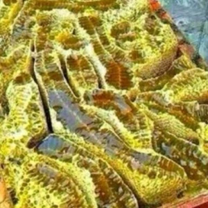 بالصور : اكتشاف أنهار من العسل في جبل باليمن
