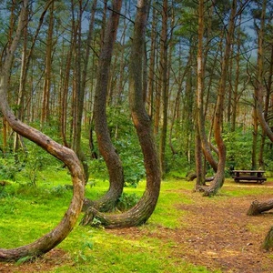 7 terrifying places.. Can you visit them?