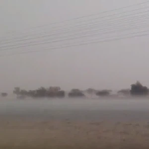 14 دقيقة تستعرض تأثير "غامرة" على شمال مكة المكرمة