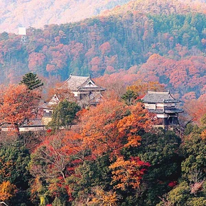 Pictures .. a tour between the old original Japanese castles