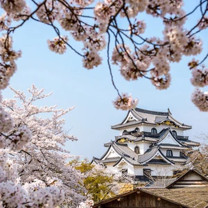 Photos .. une visite entre les anciens châteaux japonais d&#39;origine