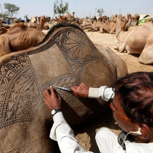 بالصور: هكذا يحتفل المسلمون حول العالم  بعيد الأضحى 