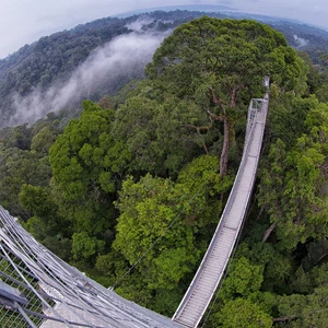 Lieux touristiques à Brunei .. l&#39;île de l&#39;or noir