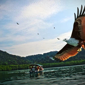 هكذا يرحب بك النسر الكبير في لنكاوي بماليزيا