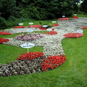 Apprenez à connaître Mainau .. l&#39;île aux roses en Allemagne