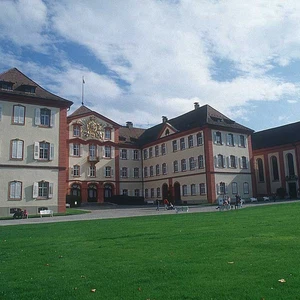 Apprenez à connaître Mainau .. l&#39;île aux roses en Allemagne