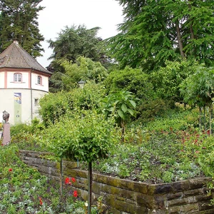 Apprenez à connaître Mainau .. l&#39;île aux roses en Allemagne