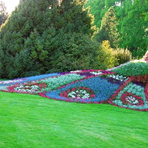 Apprenez à connaître Mainau .. l&#39;île aux roses en Allemagne