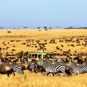 Learn about the best tourist experiences in Tanzania