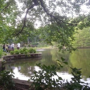 La forêt d&#39;Ataturk.. Les oasis vertes d&#39;Istanbul