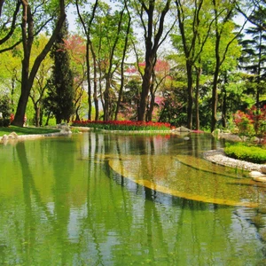 Ataturk Forest.. Istanbul&#39;s green oases