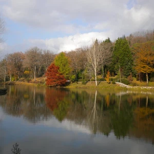 Ataturk Forest.. Istanbul&#39;s green oases