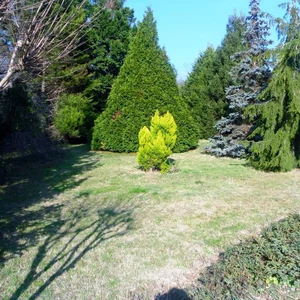 La forêt d&#39;Ataturk.. Les oasis vertes d&#39;Istanbul