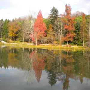 Ataturk Forest.. Istanbul&#39;s green oases