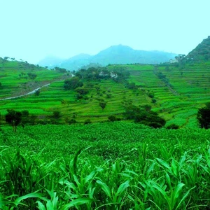 In pictures: Yemen, the beauty and diversity of nature