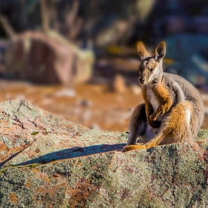 24 photos des chefs-d&#39;œuvre du tourisme en Australie