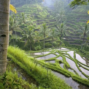 Bali Island.. Is the moon hidden?