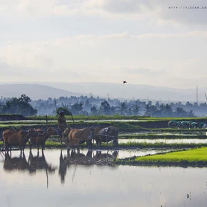 Bali Island.. Is the moon hidden?