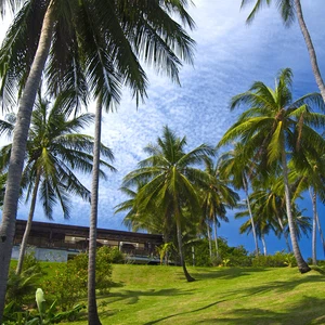 Que savez-vous de Koh Samui, en Thaïlande ?