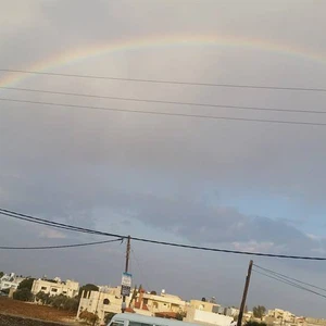 من صفحة محافظة اربد