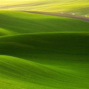 12 amazing photos of the Moravian fields in the Czech Republic