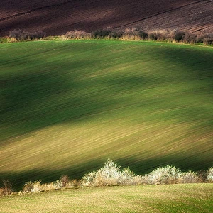 12 amazing photos of the Moravian fields in the Czech Republic