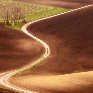 12 amazing photos of the Moravian fields in the Czech Republic