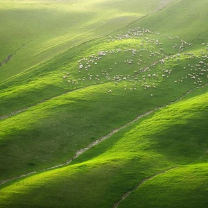 12 amazing photos of the Moravian fields in the Czech Republic