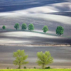 12 amazing photos of the Moravian fields in the Czech Republic