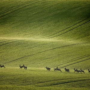 12 amazing photos of the Moravian fields in the Czech Republic