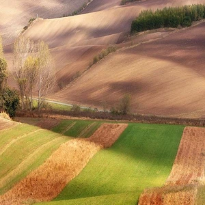 12 amazing photos of the Moravian fields in the Czech Republic