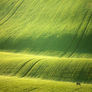 12 amazing photos of the Moravian fields in the Czech Republic