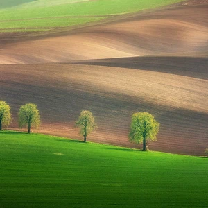 12 amazing photos of the Moravian fields in the Czech Republic