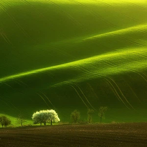 12 amazing photos of the Moravian fields in the Czech Republic