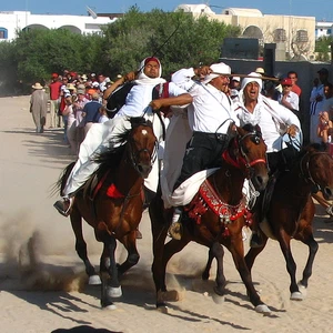 Tourism on the Tunisian island of Djerba in pictures