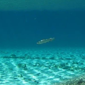 Photos : Lac d&#39;une nature étonnante en Autriche !