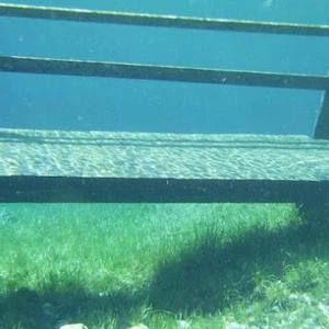 Photos : Lac d&#39;une nature étonnante en Autriche !