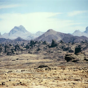 صورة ليلية للمدينة 