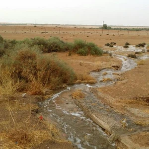 امطار ناهل / تصوير: بو خالد الحمادي